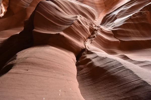 Üst antilop Kanyonu sayfa, Arizona ABD