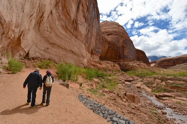 Rainbow Bridge Monument Trail i Utah, USA – stockfoto