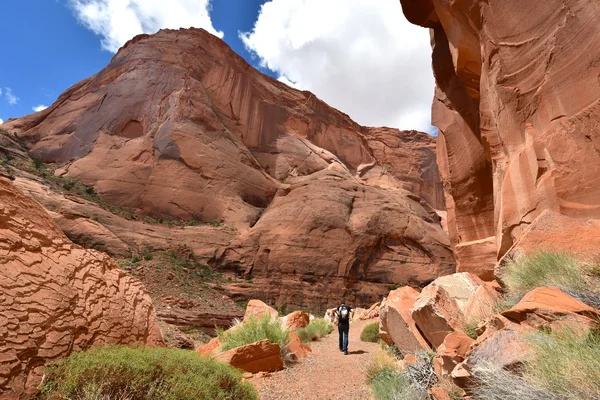 Gökkuşağı Köprüsü anıt iz Utah, ABD — Stok fotoğraf