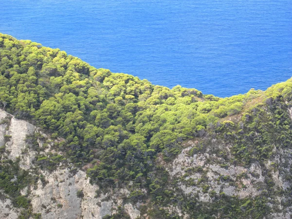 Лісові скелі біля моря — стокове фото