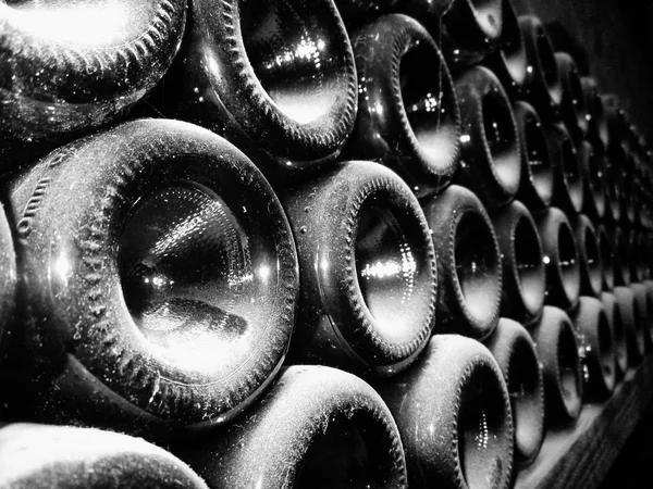 Vine bottles in vine cellar