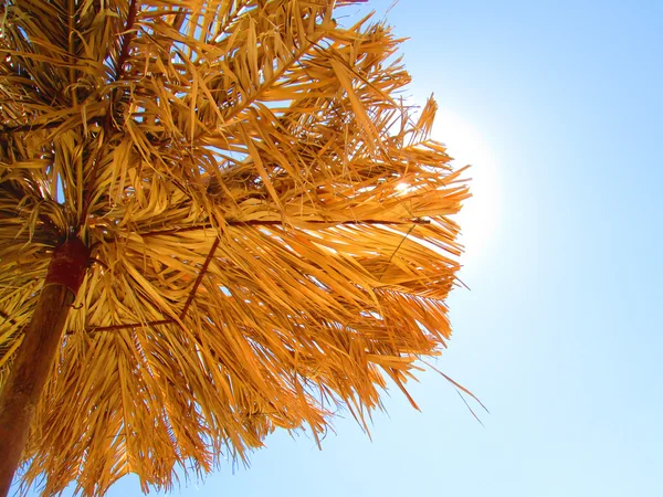 Straw umbrella - parasol — Stock Photo, Image