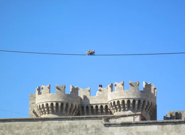 中世の城砦の近くの電線に 2 羽の鳥. — ストック写真