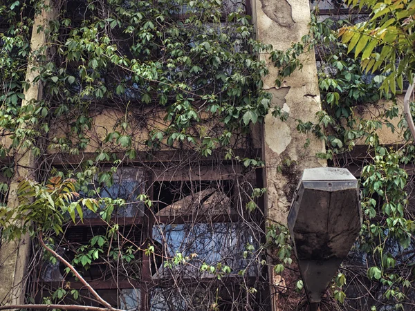 Αμπέλους που μεγαλώνουν πάνω από το παλιό εγκαταλειμμένο κτίριο πρόσοψη — Φωτογραφία Αρχείου