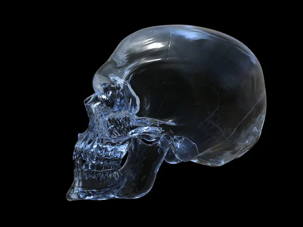 Crystal skull - zijaanzicht — Stockfoto