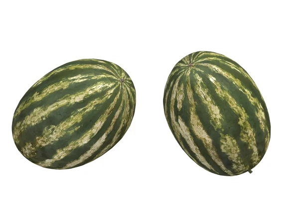 Zwei Wassermelonen - isoliert auf weißem Hintergrund — Stockfoto