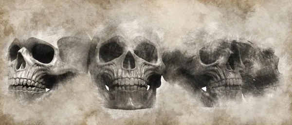 Skulls drawn on parchment - scroll - illustration — Stock Photo, Image