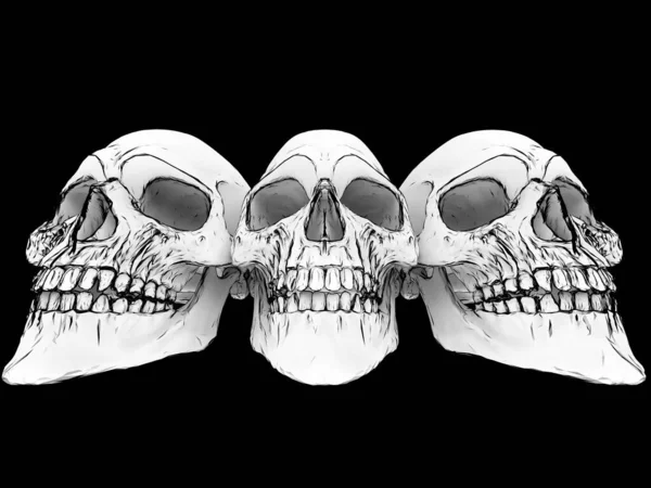Tres Cráneos Sonrientes Plano Primer Plano Gran Angular Extremo — Foto de Stock
