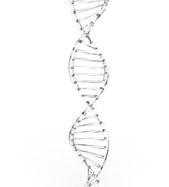 DNA cam