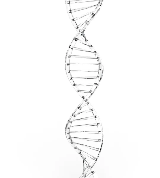 Glass DNA — Stock Photo, Image