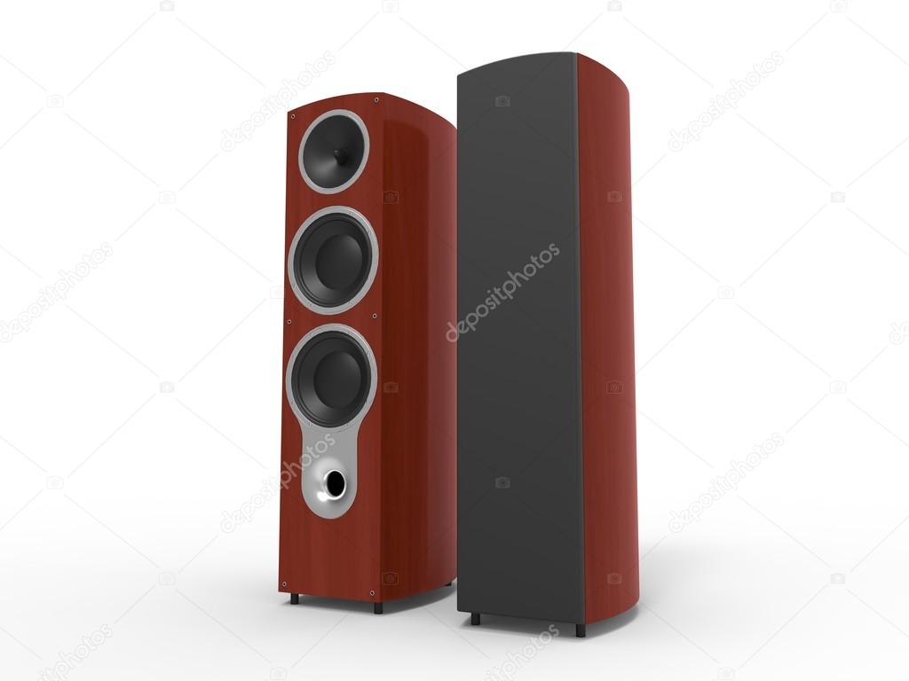 Twin Rosewood speakers