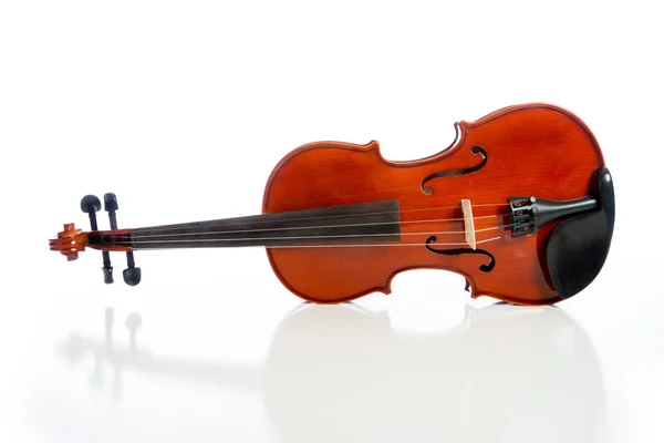 Violino sobre um fundo branco — Fotografia de Stock