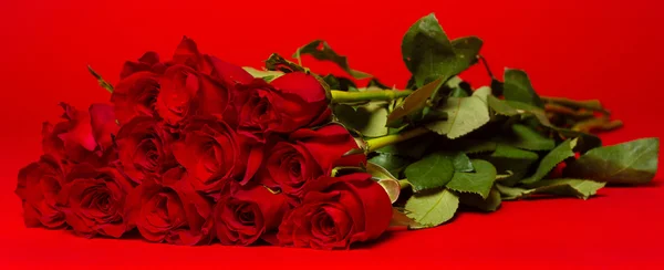 Dozen rosas rojas sobre un fondo rojo — Foto de Stock