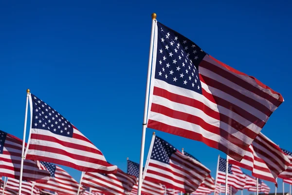 Una mostra di bandiere americane con sfondo cielo — Foto Stock