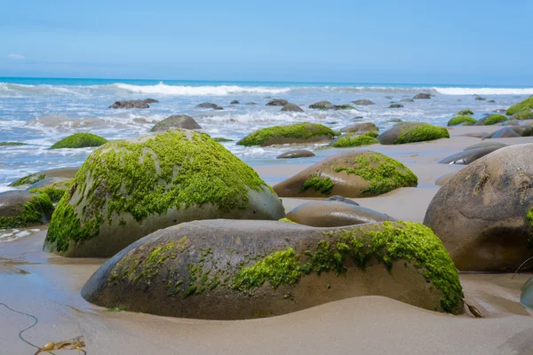 Un paisaje marino con rocas cubiertas de musgo en la costa de California — Foto de Stock