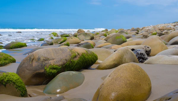 En marinmålning med moss omfattas klippor på Kaliforniens kust — Stockfoto