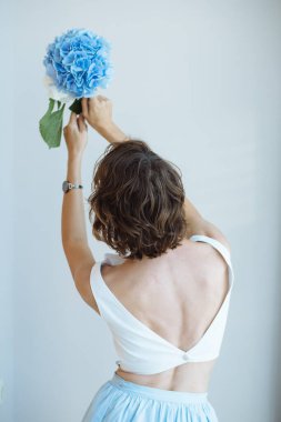 Çıplak sırtı olan güzel bir kadın ellerinde güzel ortanca çiçeklerini ışık duvarına karşı tutuyor. Çiçekçi 14 Şubat için buket topluyor..