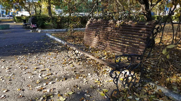 Foto horizontal de arte de um close-up de folhas de outono em um banco em um caminho em um jardim público — Fotografia de Stock