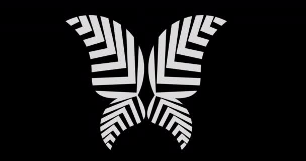 Minimale Zwarte Vlinder Logo Gemaakt Van Geometrische Vormen Gelegen Verschillende — Stockvideo