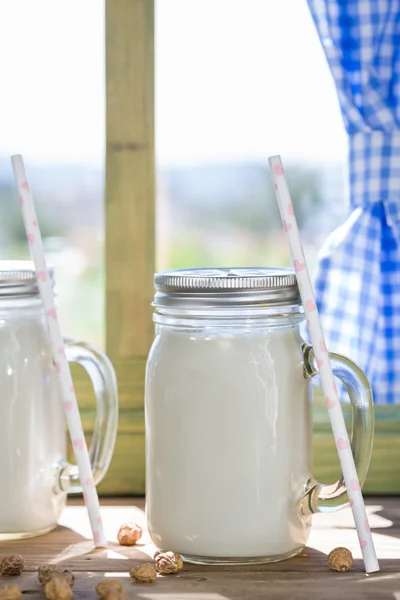 Horchata taze yer fıstığı — Stok fotoğraf