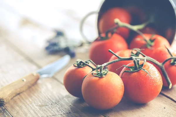 잘 익은 토마토 확산 — 스톡 사진