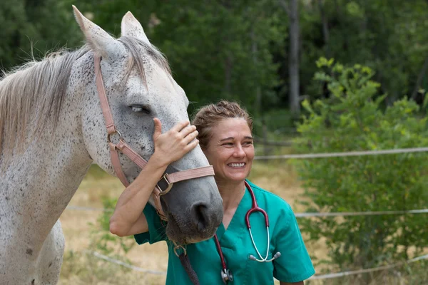 Veterinární na farmě — Stock fotografie