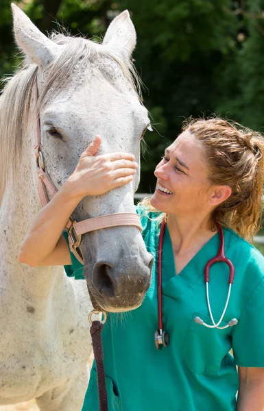 Veterinário em uma fazenda — Fotografia de Stock