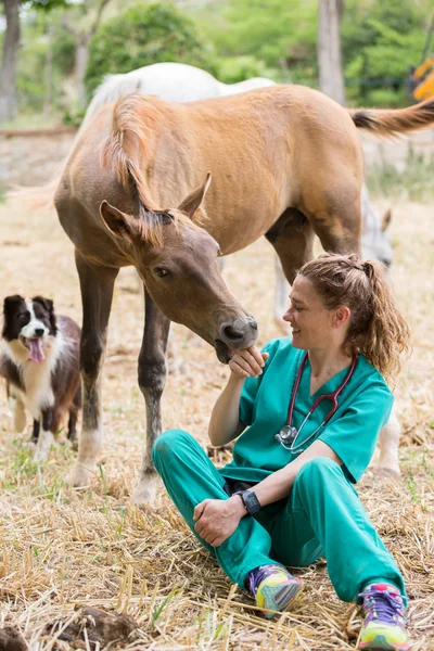 Veterinário em uma fazenda — Fotografia de Stock