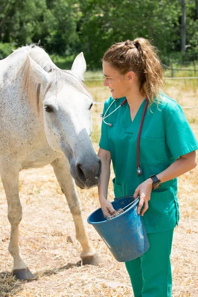 Veterinary on a farm — Stock Photo, Image