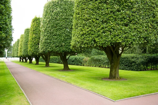 Giardini nel cimitero americano — Foto Stock