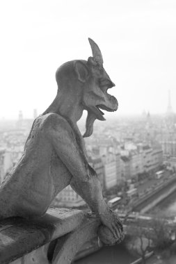 Notre Dame Katedrali, Paris