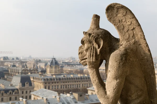 Katedrála Notre Dame, Paříž — Stock fotografie
