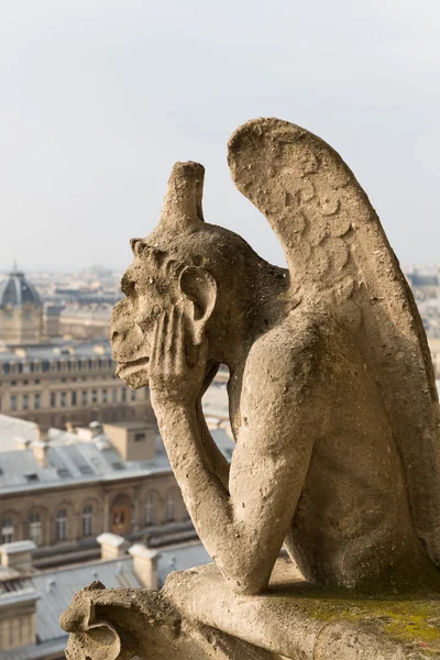 Notre Dame kathedraal, Parijs — Stockfoto