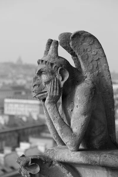 Notre Dame Katedrali, Paris — Stok fotoğraf