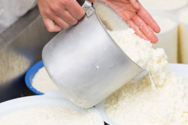 Peynir yapımı craft