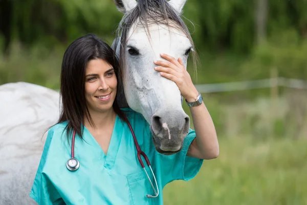 Veterinário em uma fazenda — Fotografia de Stock