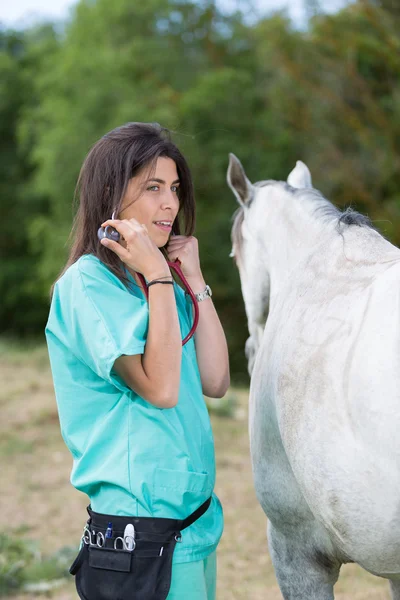 Veterinário em uma fazenda — Fotografia de Stock