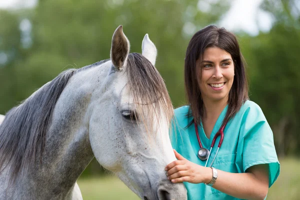 Veterinary on a farm — Stock Photo, Image