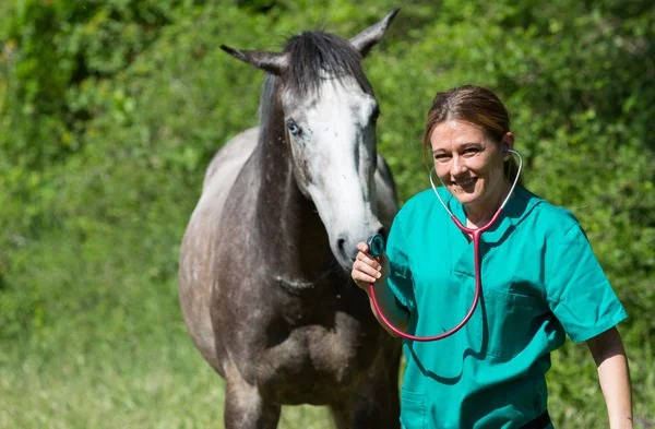 Veterinario in una fattoria — Foto Stock