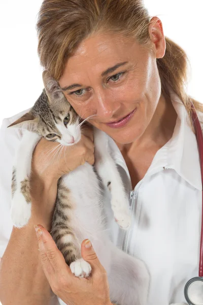 Clínica veterinária com um gatinho — Fotografia de Stock