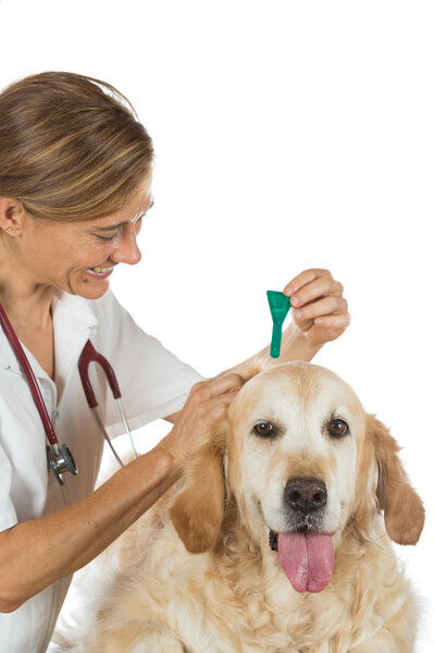 Ветеринарная клиника