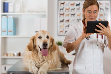 Veteriner Kliniği