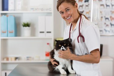 Bir yavru kedi ile veteriner Kliniği
