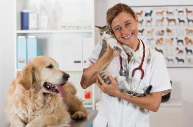 Veteriner Kliniği
