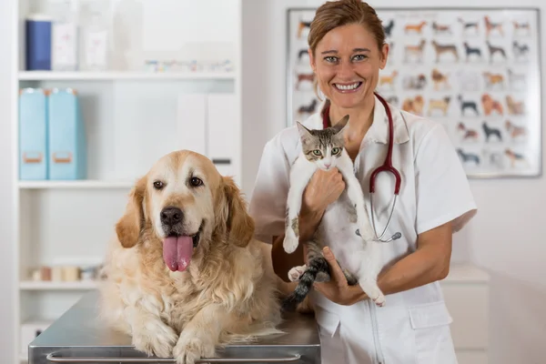 Clinica veterinaria — Foto Stock