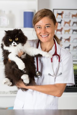 Bir yavru kedi ile veteriner Kliniği