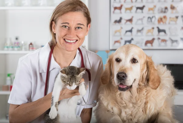 Clínica Veterinaria — Foto de Stock