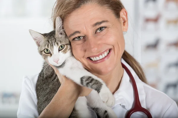 Veterinärklinik med en kattunge — Stockfoto