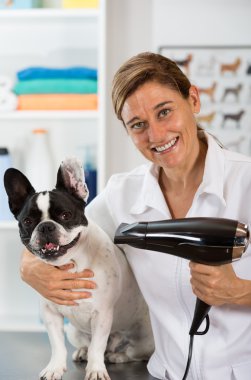 Köpek Kuaför