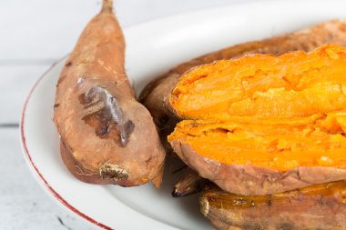 Tatlı patates sezon